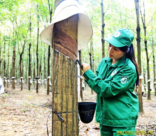 Dấy lên phong trào thi đua nước rút 3 tháng cuối năm