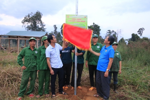 Ánh sáng nhỏ, niềm vui lớn