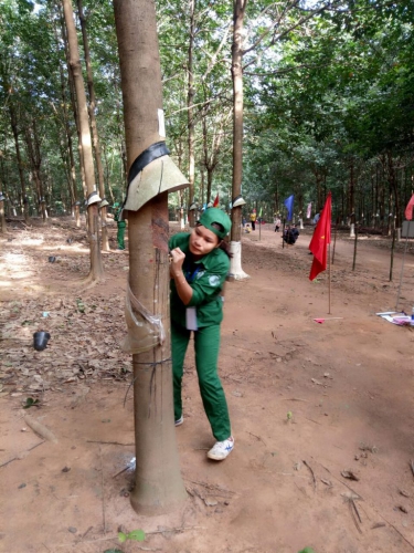 Cao su Sa Thầy bước vào sân chơi lớn