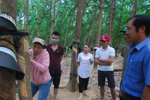 An cư lạc nghiệp trên vùng biên giới