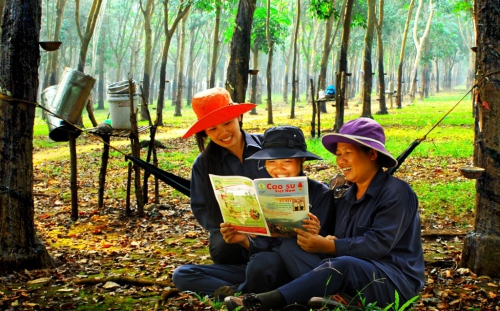 Phát huy vai trò nữ CNVC-LĐ ngành cao su Việt Nam