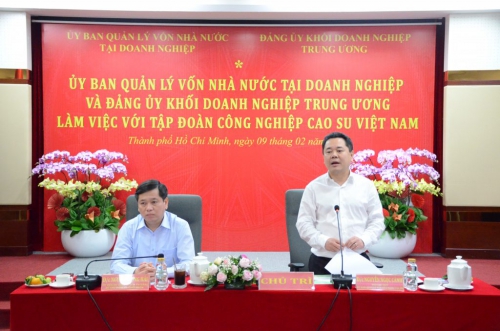 VRG quyết tâm hoàn thành tốt nhiệm vụ năm 2022