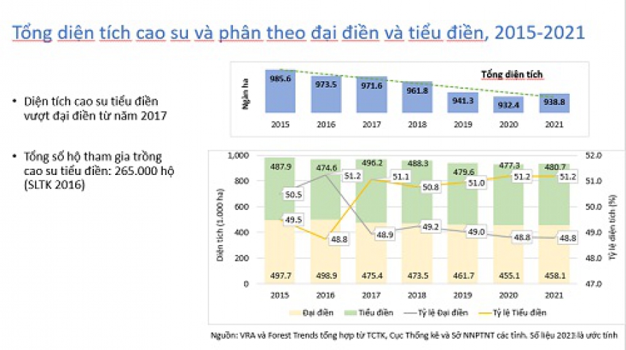 Kết nối thúc đẩy sản xuất cao su thiên nhiên bền vững tại Việt Nam