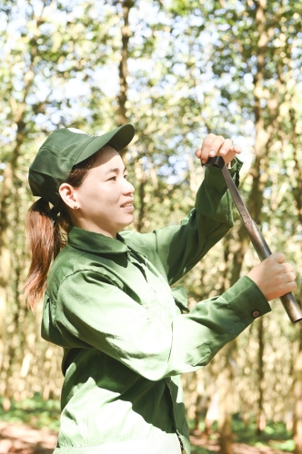 Thông báo Cuộc thi sáng tác “Cao su – Đất và Người”