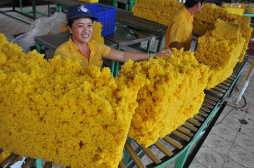 VRG: Thực hiện nhiều giải pháp quản lý kỹ thuật nông nghiệp khai thác tối đa năng lực vườn cây