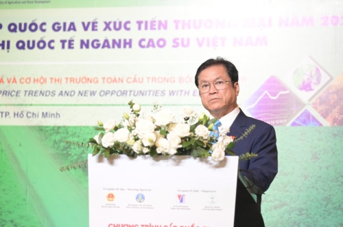 Hội thảo ngành cao su năm 2025: Xu hướng giá và cơ hội thị trường toàn cầu trong bối cảnh EUDR