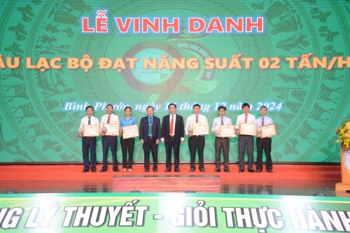 Vinh danh 124 tập thể có vườn cây năng suất, chất lượng cao